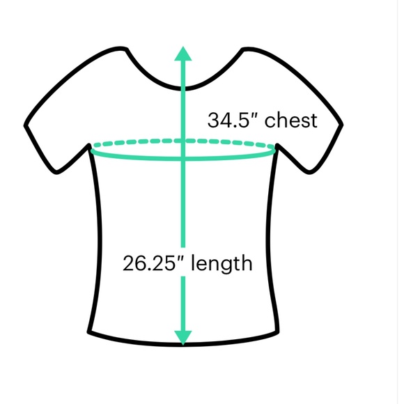 💥💥Peter Nygard 3/4 length sleeve blouse-size Large- Excellent Condition!!💥💥 - Picture 3 of 3